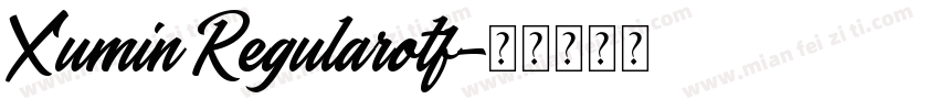Xumin Regularotf字体转换